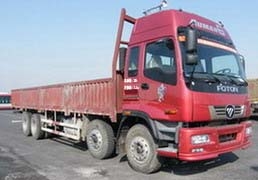 ͼ1-ŷETX 6ϵ 310 8X4 BJ1318VPPJJ-1ػ