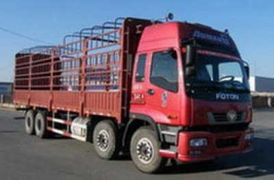 ͼ1-ŷETX 6ϵ 310 8X4 դʽ BJ5318VPCJJ-5ػ