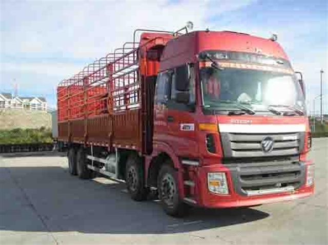 ͼ3-ŷETX 6ϵ 290 8X4 դʽ BJ5313VPCJJ-10ػ