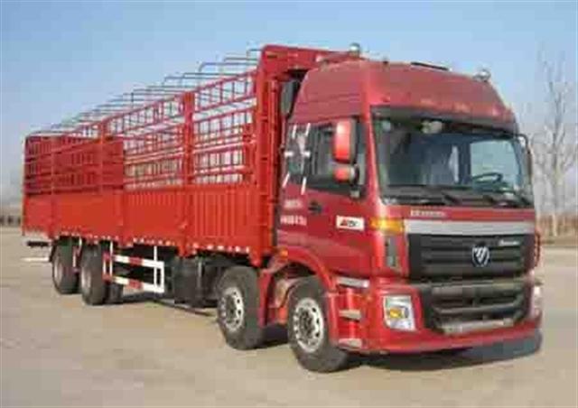 ͼ3-ŷETX 6ϵ 240 8X4 դʽ BJ5313VPCJJ-1ػ
