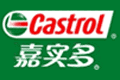 ʵCastrol